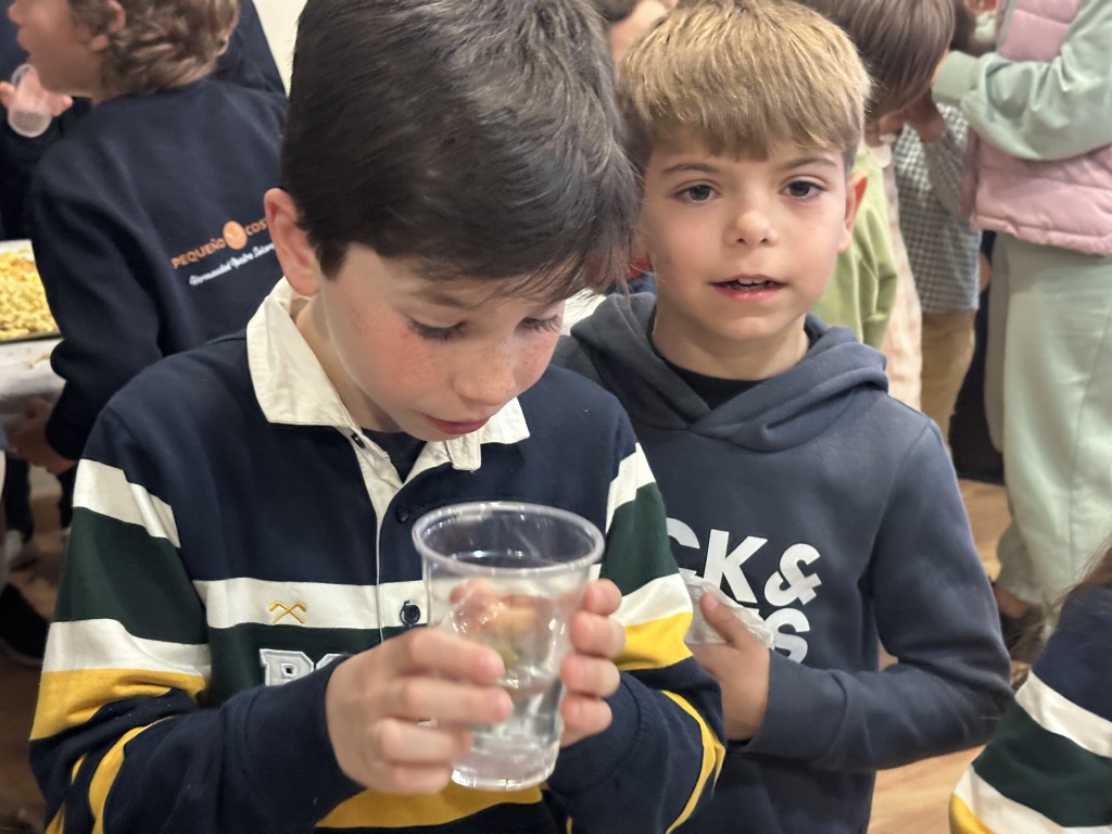 MERIENDA PEQUEÑOS COSTALEROS