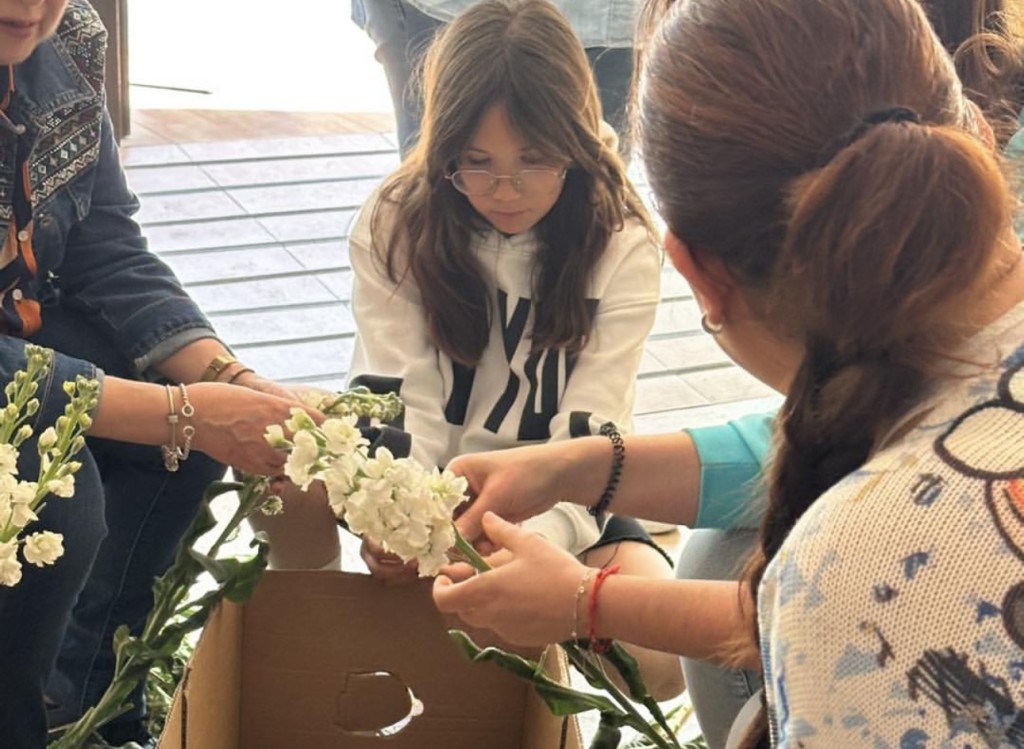 Preparación Petala  2024